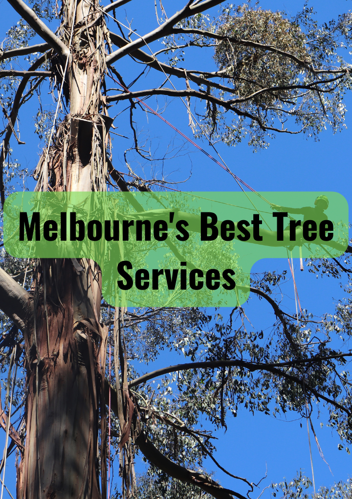 Melbourne's Best Tree Services