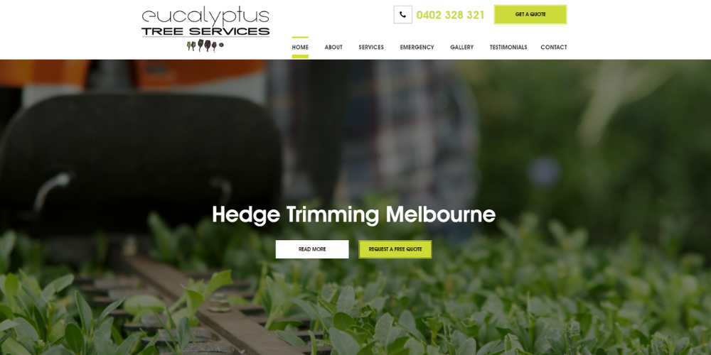 Eucalyptus Tree Services - Best of Melbourne City