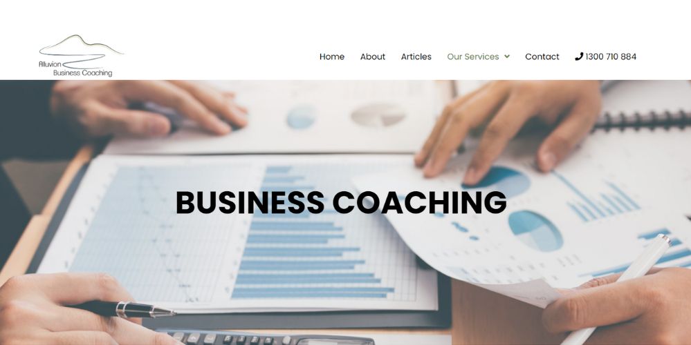 allvion business coaching